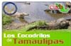 Los Cocodrilos de Tamaulipas