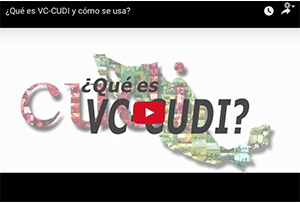 VC-CUDI