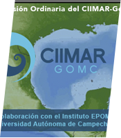 XIII Sesión Ordinaria del CIIMAR-GoMC