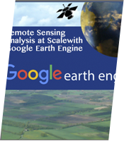 Remote Sensing Analysis at Scale with Google Earth Engine