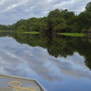 Con tecnología de RNP, sistema recopila datos para minimizar el impacto del cambio climático en el Amazonas