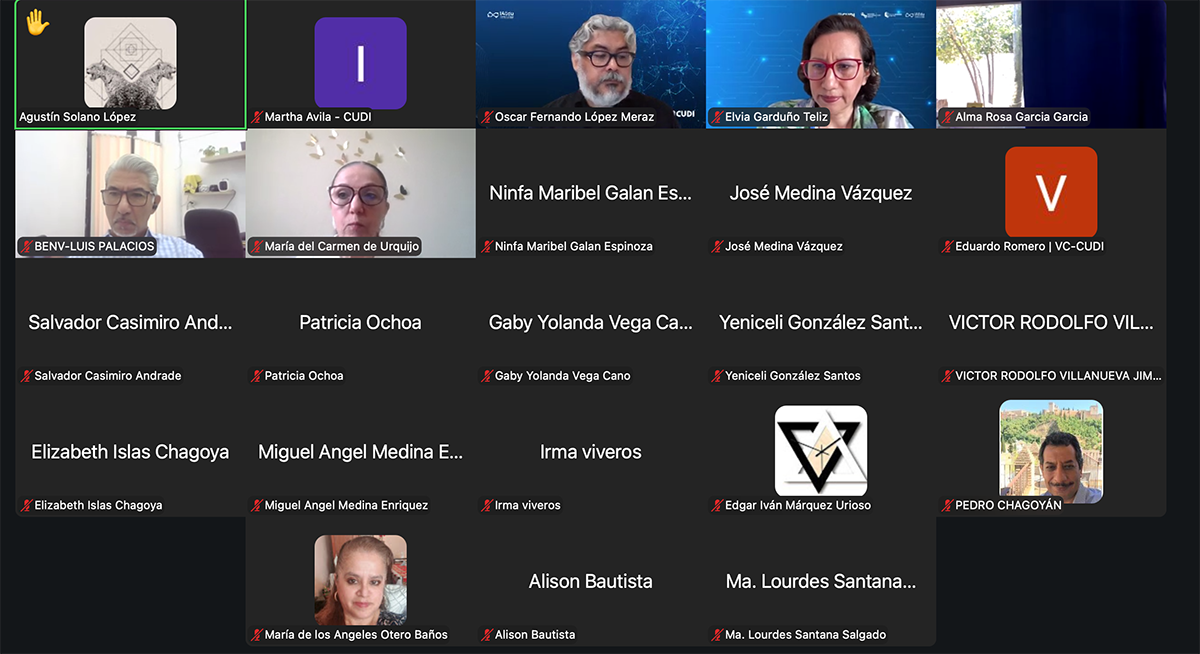 Participantes