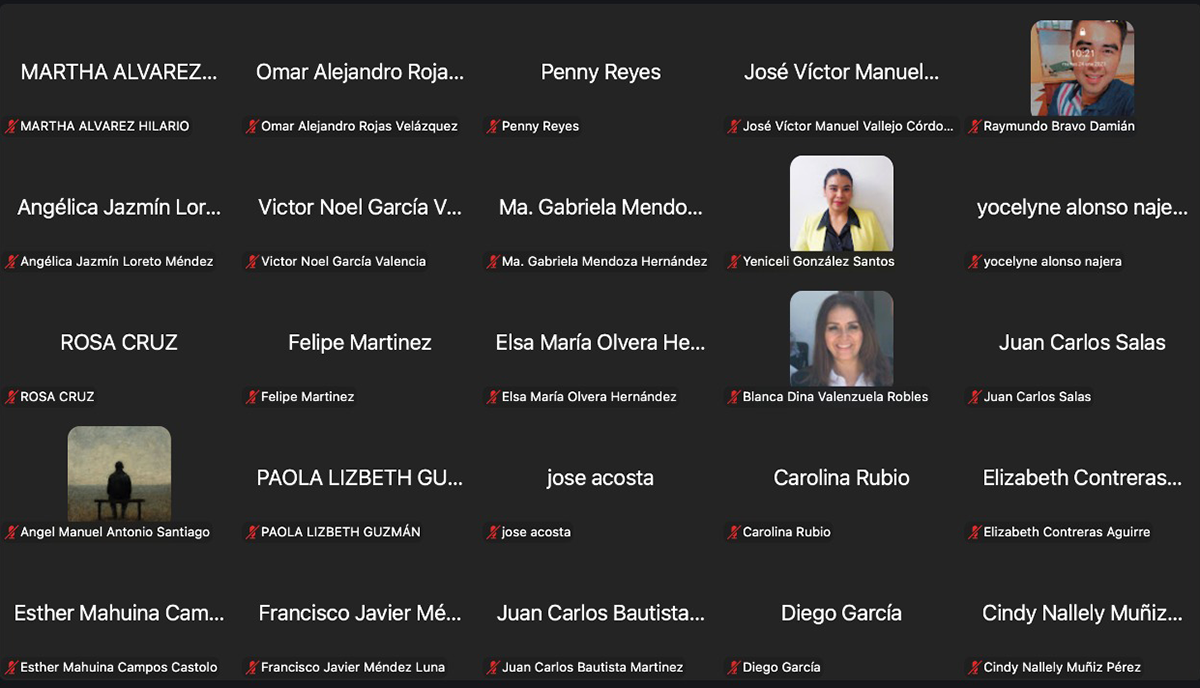 Participantes