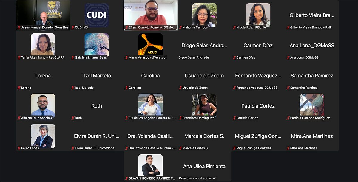 Participantes