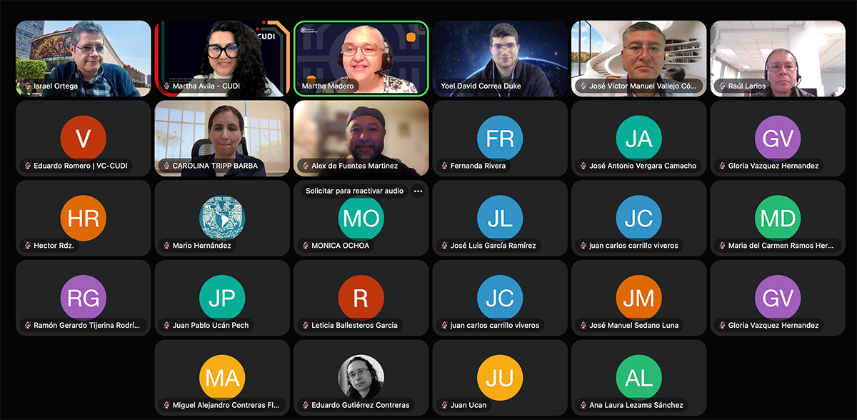 Participantes