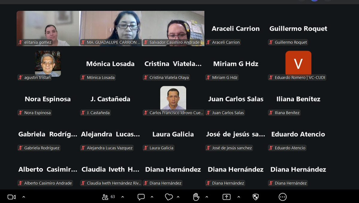 Participantes