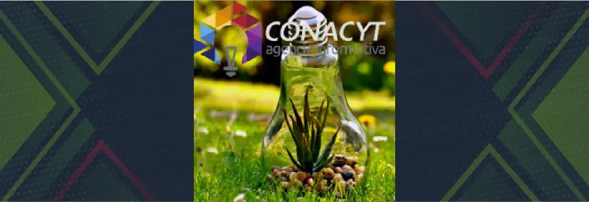 Conacyt y Semarnat lanzan convocatoria de investigación ambiental