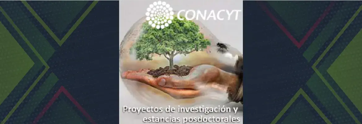 La Universidad de Arizona y el Conacyt convocan a postular proyectos de investigación y estancias posdoctorales