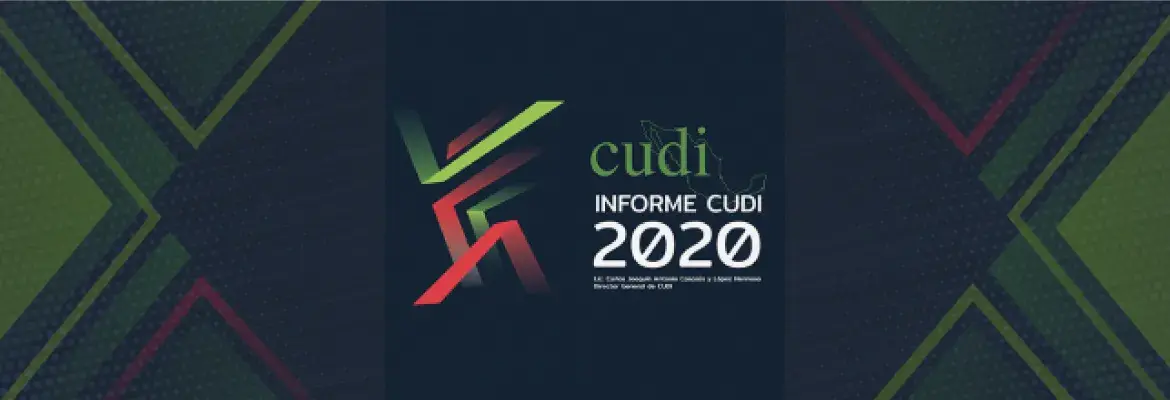 Informe CUDI  2020