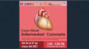 Curso Virtual &quot;Enfermedad Coronaria&quot;