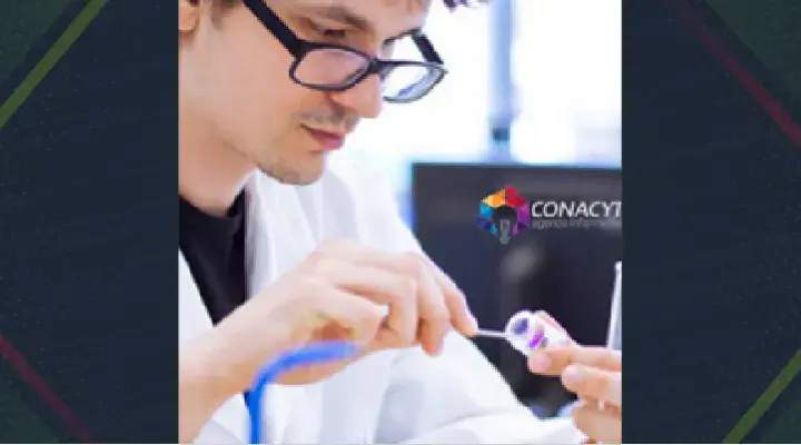 Convocatoria para Jóvenes Investigadores 2017