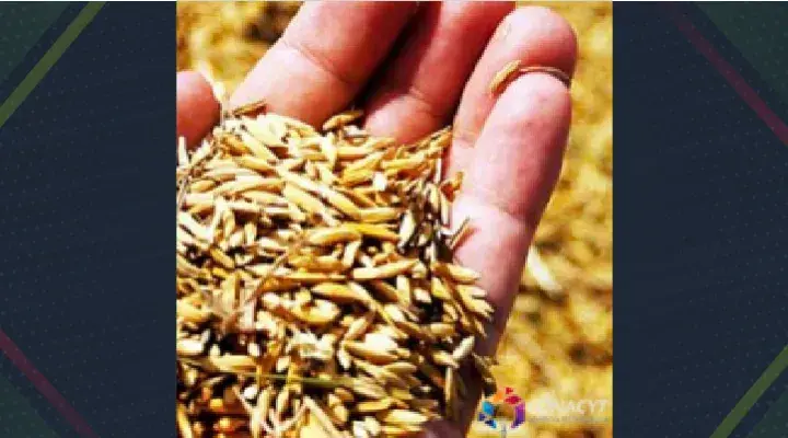 Convocatoria de apoyo a la investigación en materia agrícola, pecuaria, acuacultura, agrobiotecnología y recursos fitogenéticos