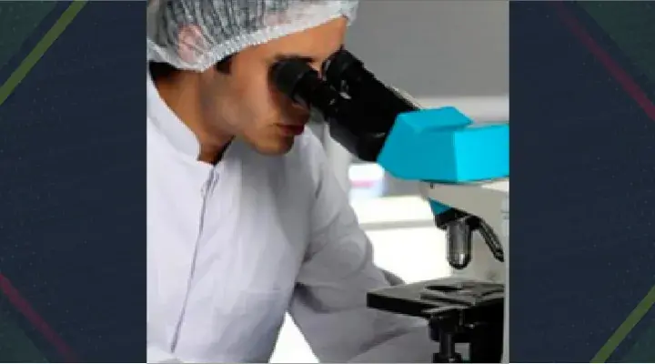 Convocatoria de los Premios de Investigación 2017 para científicos jóvenes