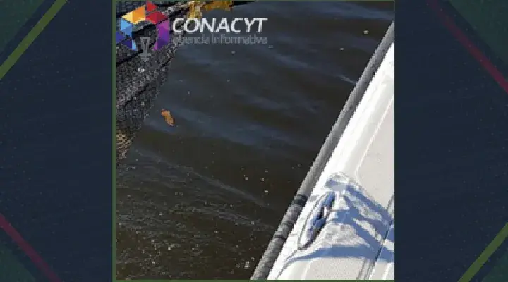 Convocatoria Sagarpa y Conacyt 