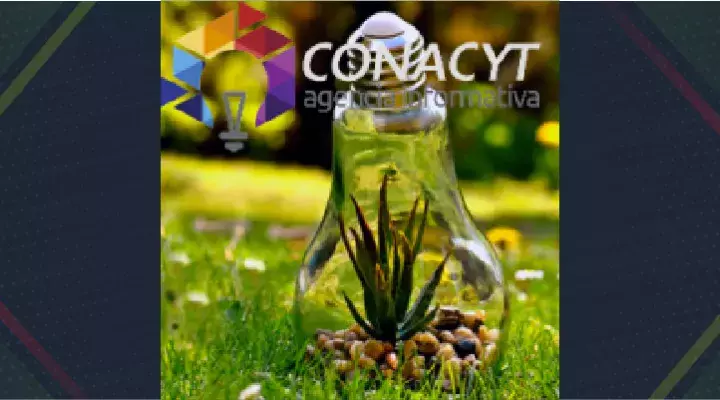 Conacyt y Semarnat lanzan convocatoria de investigación ambiental