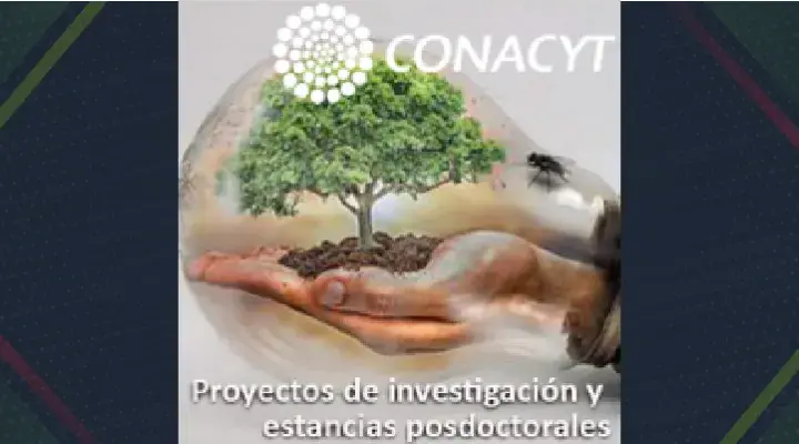 La Universidad de Arizona y el Conacyt convocan a postular proyectos de investigación y estancias posdoctorales