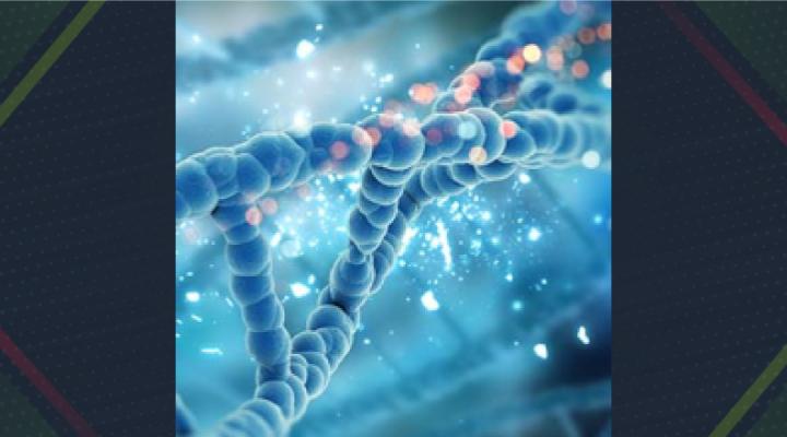 Unidos contra el coronavirus: NVIDIA Enterprise ofrece acceso gratuito al software de análisis de ADN