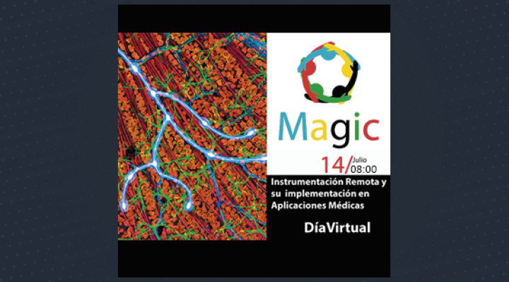Día Virtual de la comunidad de Instrumentación Remota en MAGIC