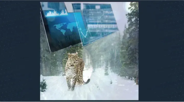 Oportunidades de Colaboración en Cambio Climático entre investigadores de las Américas, análisis de su experiencia y los beneficios aportados