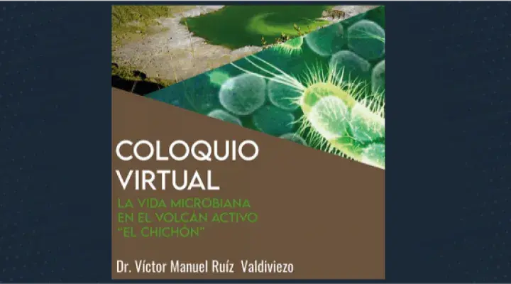 La vida microbiana en el volcán activo “el Chichón&quot;