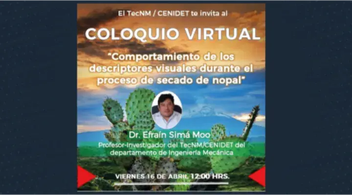 Comportamiento de los descriptores visuales durante el proceso de secado de nopal