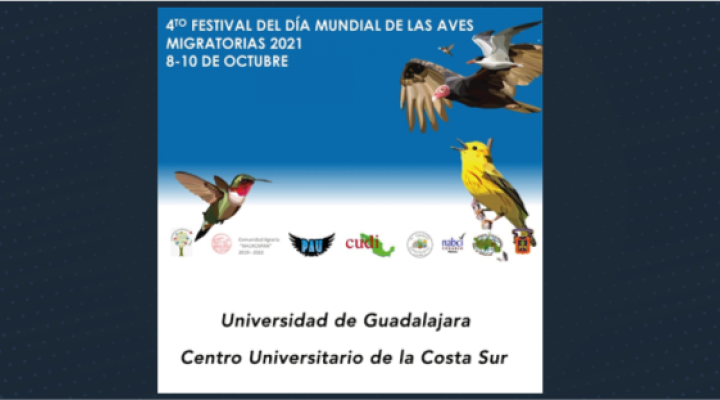 4to Festival del Día Mundial de las Aves Migratorias 2021
