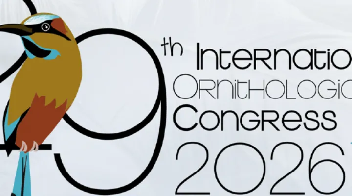 International Ornithological Congress in 2026