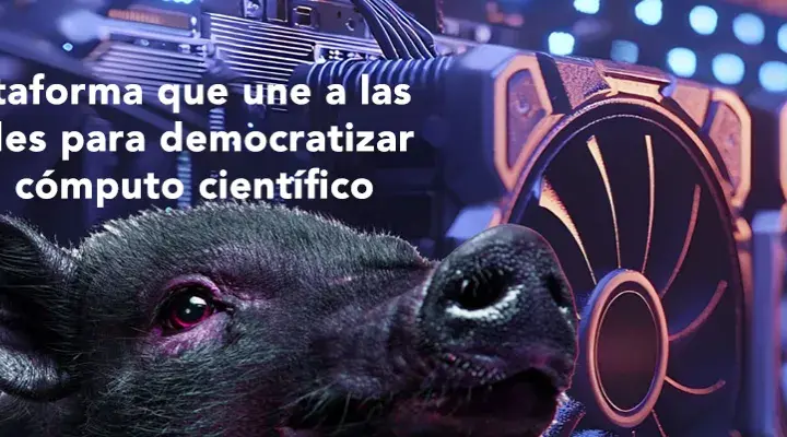Compartir recursos para ampliar oportunidades.
