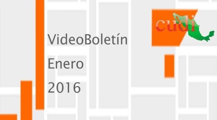 Preview image for the video "VideoBoletín Enero 2016".