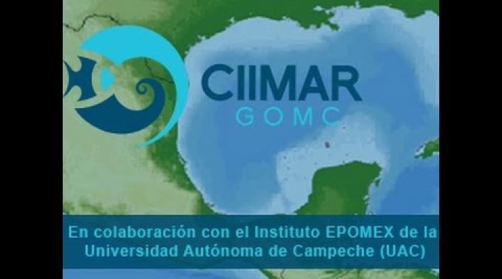 Preview image for the video "XIII Sesión Ordinaria del CIIMar-GoMC Parte 1".