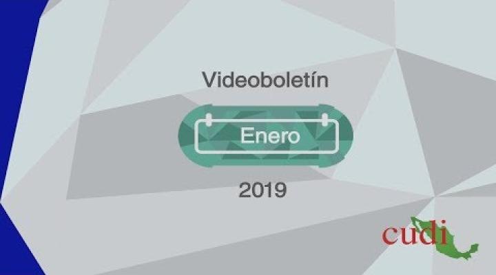 Preview image for the video "VideoBoletín Enero 2019".