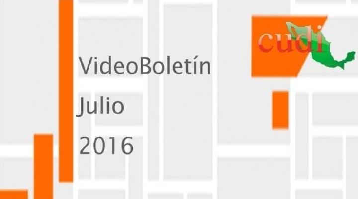 Preview image for the video "VideoBoletín Julio 2016".