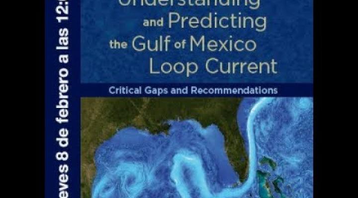 Preview image for the video "#DíaVirtual Understanding and Predicting the Gulf of Mexico Loop Current".