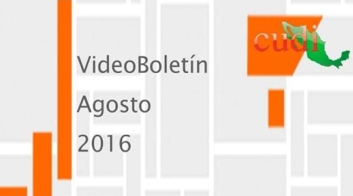 Preview image for the video "VideoBoletín Agosto 2016".