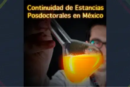 Continuidad de Estancias Posdoctorales en México