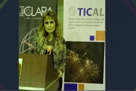 REMERI en TICAL 2015