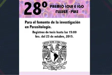 Convocatoria del Programa de Apoyo a la Producción e Investigación en Arte y Medios