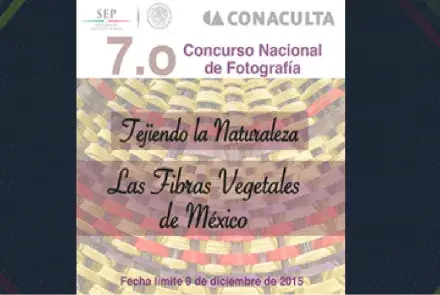 Alerta de fondos: Tejiendo la naturaleza. Las fibras vegetales de México