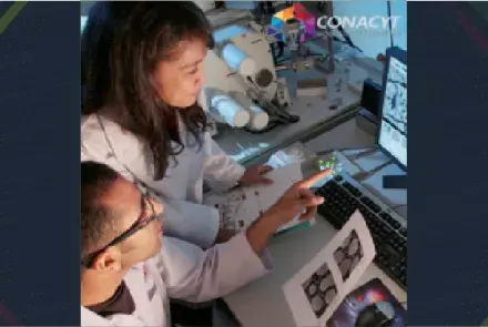 Convocatoria de Proyectos de Desarrollo Científico para Atender Problemas Nacionales