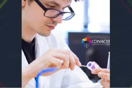 Convocatoria para Jóvenes Investigadores 2017