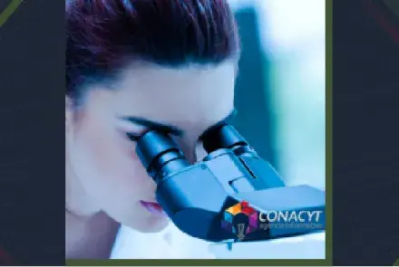 Becas para Mujeres en las Humanidades y las Ciencias Sociales