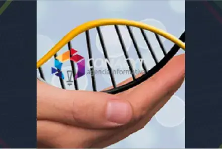 Convocatoria Bioseguridad 2017