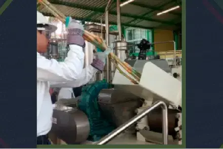 Desarrollan metodologías para producir bioetanol a precio menor que las gasolinas