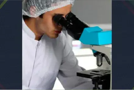 Convocatoria de los Premios de Investigación 2017 para científicos jóvenes