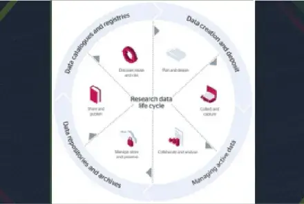 Datos de la investigación audiovisual