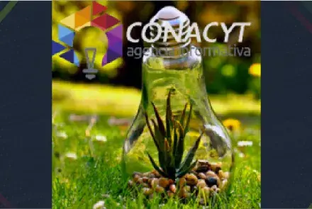 Conacyt y Semarnat lanzan convocatoria de investigación ambiental