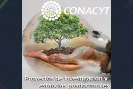La Universidad de Arizona y el Conacyt convocan a postular proyectos de investigación y estancias posdoctorales